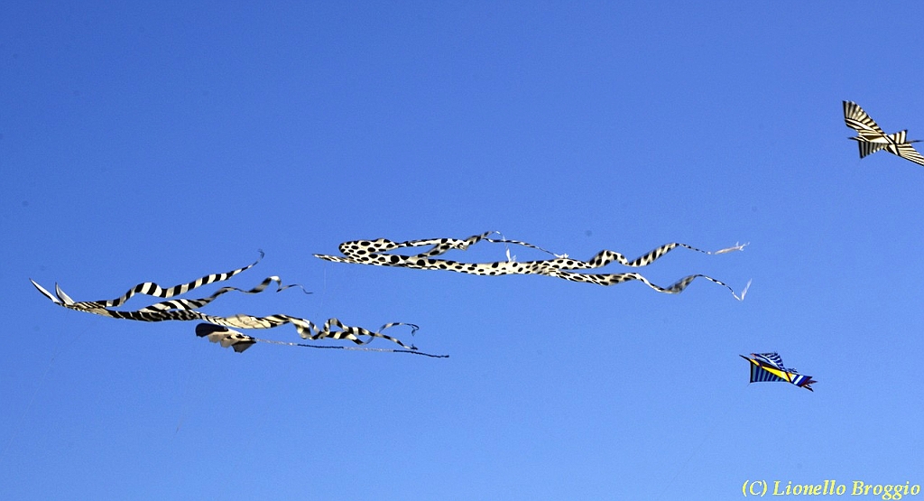 32 FESTIVAL CERVIA 2012 - 130.jpg